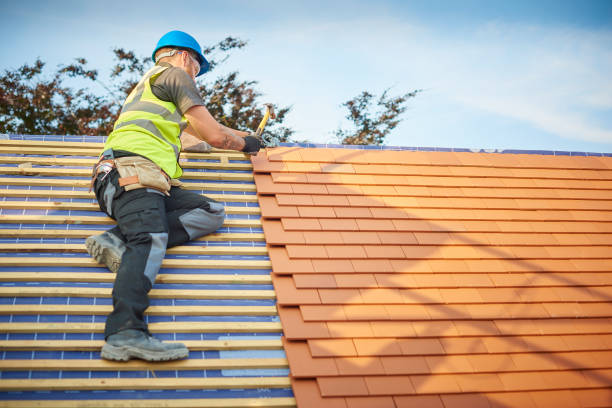 Professional Roofing service in Willow Oak, FL